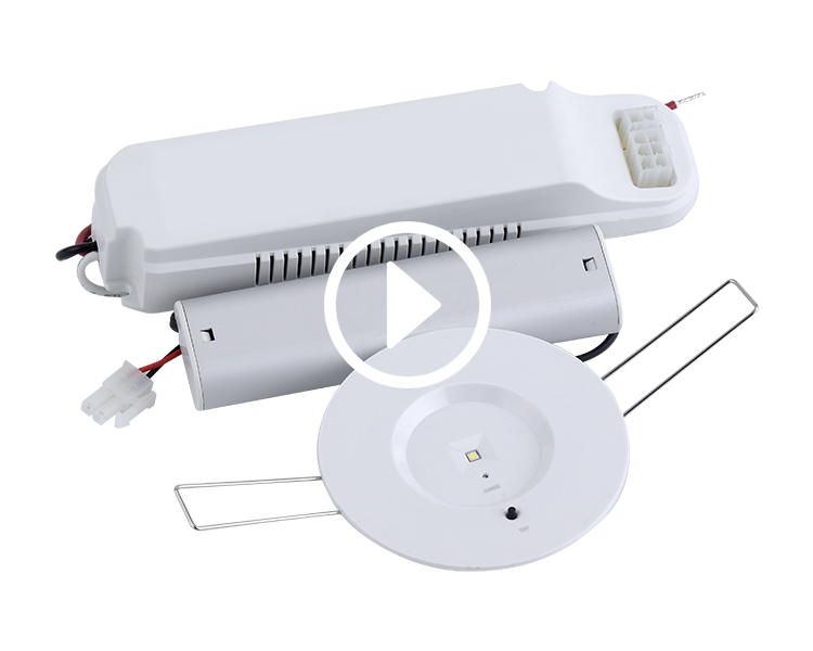 D40-R-I subitis duxit Downlight
