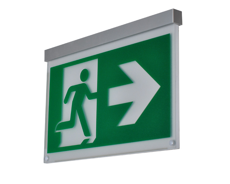 Le2916-c Aluminium Single Facie laquearia Recessed Mounted Exitus Signa