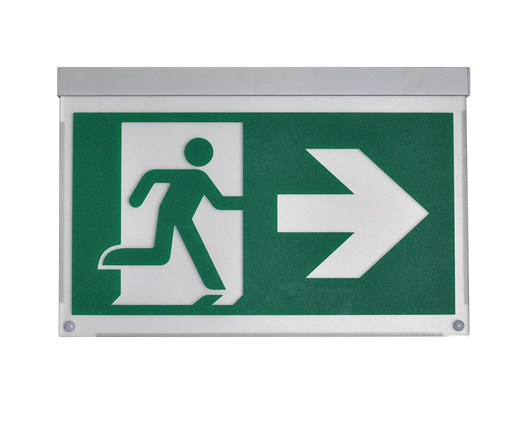 Le2916-c Aluminium Single Facie laquearia Recessed Mounted Exitus Signa