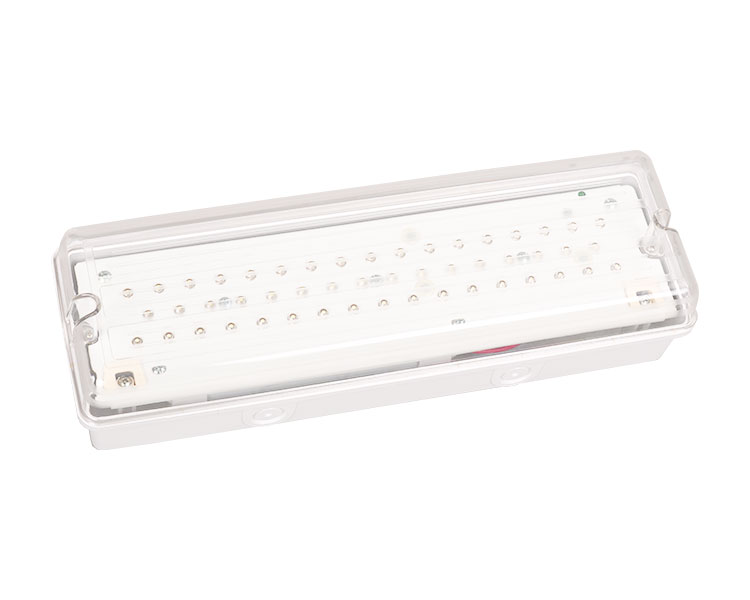 Le502L IP65 50led Watchproof EMERGENCY lux
