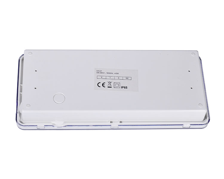 Le515-21 Partialiter Polycarbonate diffusor 21led Watchproof Luminaires