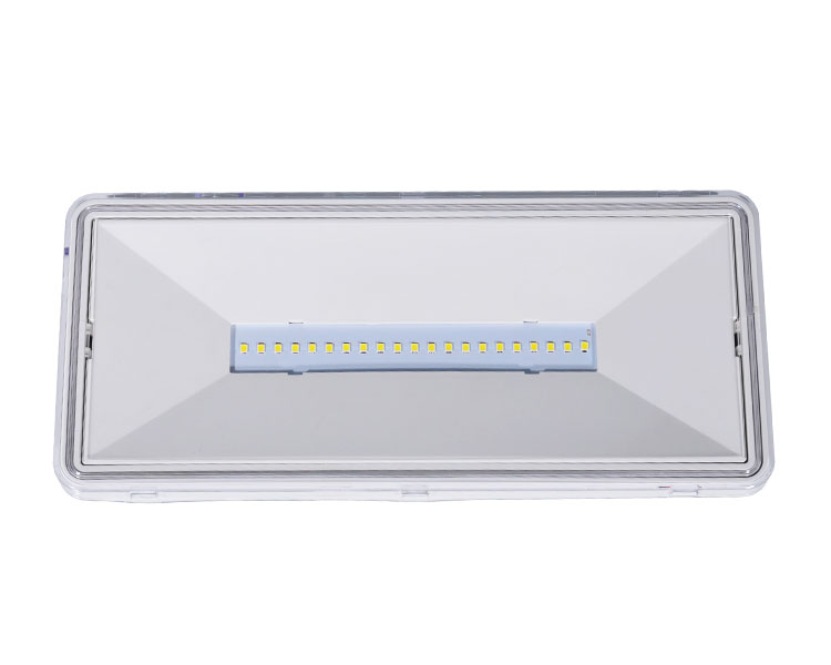 Le515-21 Partialiter Polycarbonate diffusor 21led Watchproof Luminaires