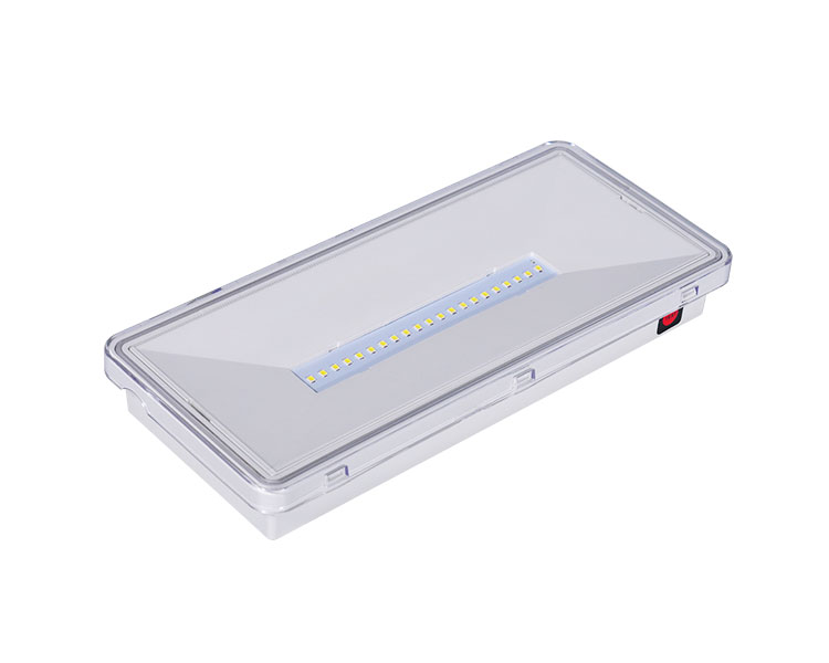 Le515-21 Partialiter Polycarbonate diffusor 21led Watchproof Luminaires