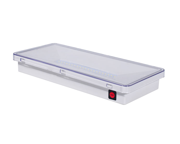 Le515-21 Partialiter Polycarbonate diffusor 21led Watchproof Luminaires