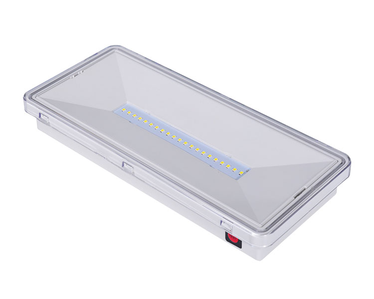 Le515-21 Partialiter Polycarbonate diffusor 21led Watchproof Luminaires