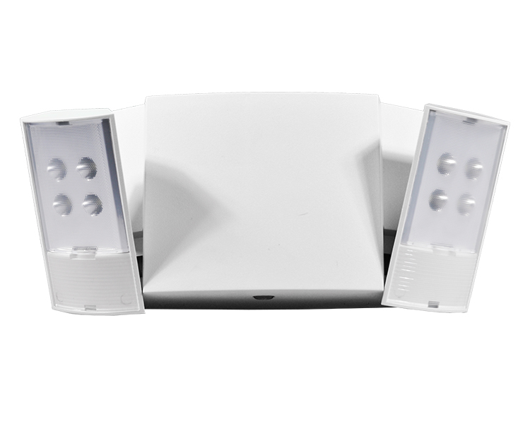 Jleu12, Novifacta dual caput subitis lux