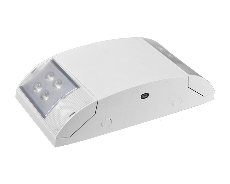 Jleu12, Novifacta dual caput subitis lux