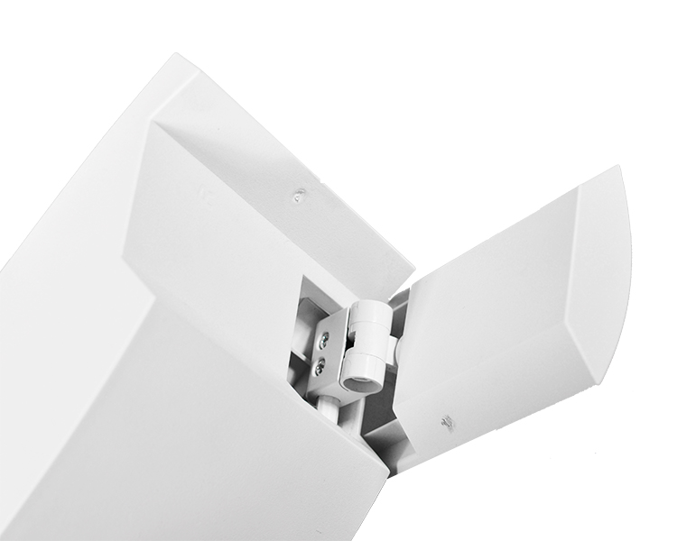 Jleu12, Novifacta dual caput subitis lux