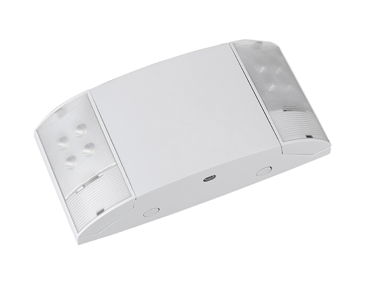 Jleu12, Novifacta dual caput subitis lux