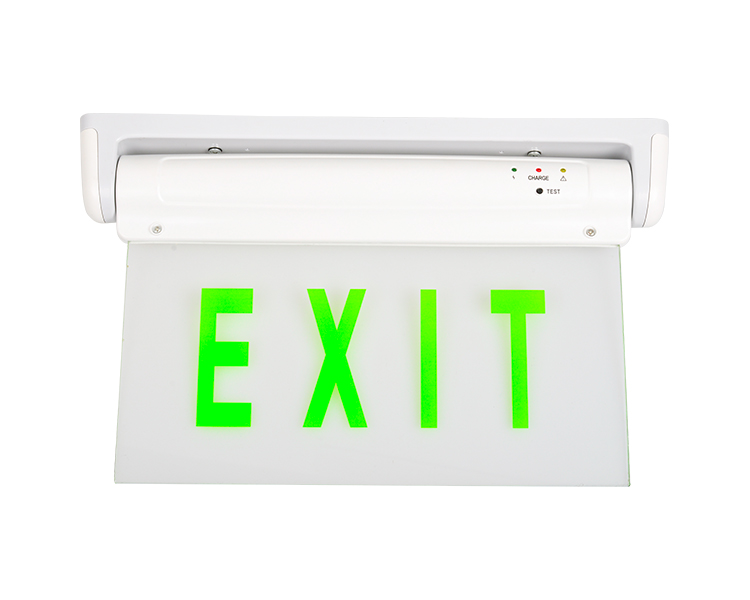 Le2912-5 aut X Green DUXERIT EGGENCY exitus Sign