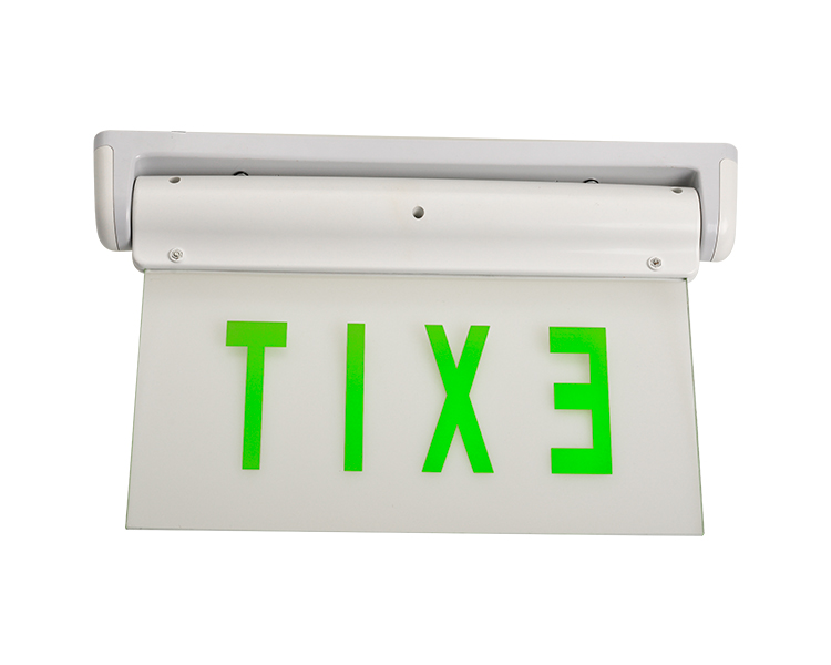 Le2912-5 aut X Green DUXERIT EGGENCY exitus Sign
