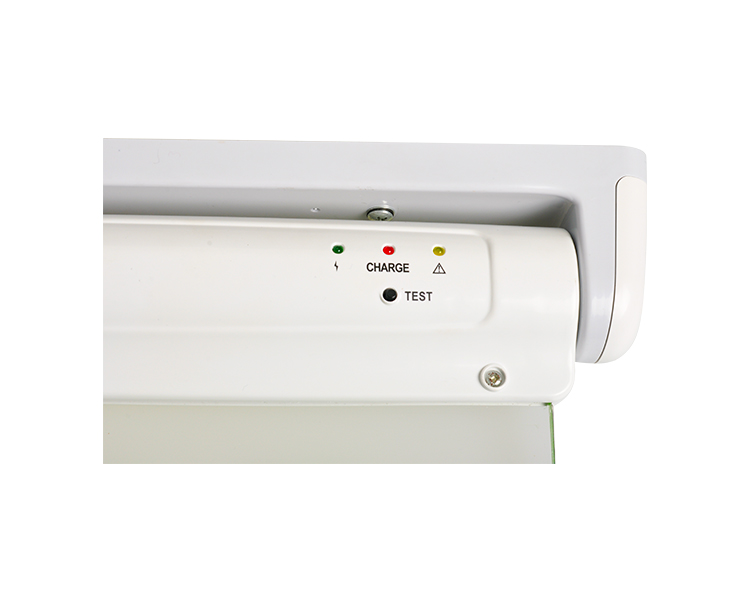 Le2912-5 aut X Green DUXERIT EGGENCY exitus Sign