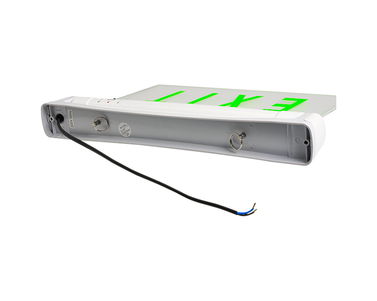 Le2912-5 aut X Green DUXERIT EGGENCY exitus Sign