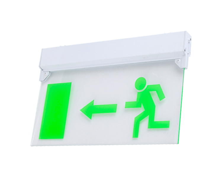 Le297-DUXERIT EGGENCY EXITUS SIGNYLL Panel