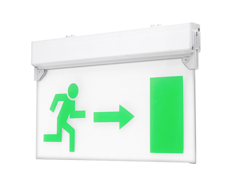 Le297-DUXERIT EGGENCY EXITUS SIGNYLL Panel