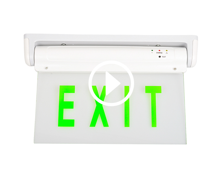 Le2912-5 aut X Green DUXERIT EGGENCY exitus Sign